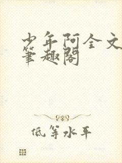 少年阿全文免费笔趣阁
