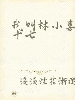 我叫林小喜今年十七