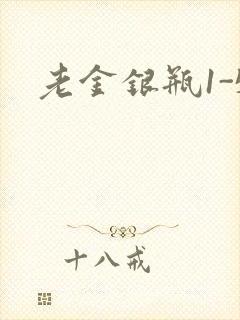 老金银瓶1-5