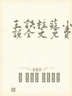 王铁柱苏小汐小说全文免费阅读最新章节