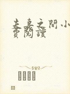 夫妻之间小说免费阅读