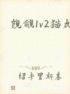觊觎1v2猫丸