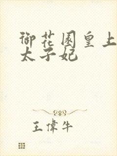 御花园皇上撞着太子妃