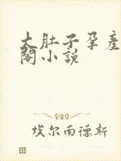 大肚子孕产笔趣阁小说