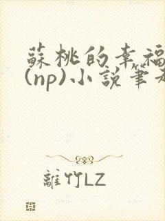 苏桃的幸福生活(np)小说笔趣阁