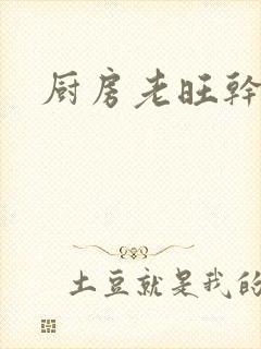 厨房老旺干秦雨