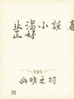 止渴小说 春光正好