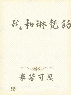 我和琳梵的故事