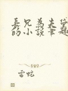 长兄为夫黛珂妃的小说笔趣阁全文