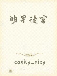 明星后宫