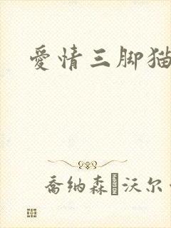 爱情三脚猫
