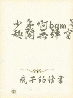 少年啊bgm笔趣阁无弹窗免费