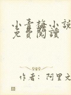 小青梅小说全文免费阅读