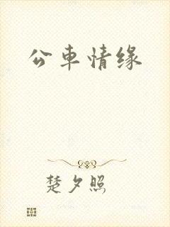 公车情缘