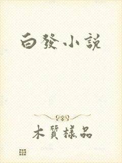 白发小说
