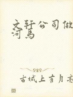 文轩公司做扩张河马