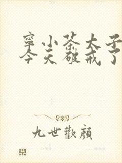 宁小茶太子殿下今天破戒了吗免费阅读