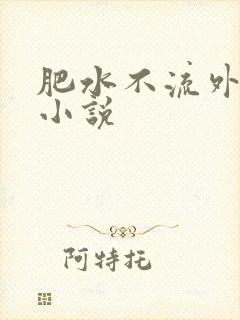 肥水不流外人田小说