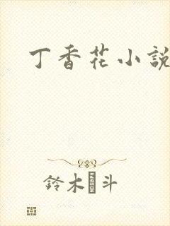 丁香花小说