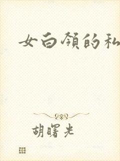 女白领的私生活