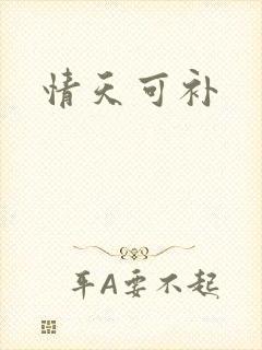 情天可补