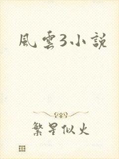 风云3小说