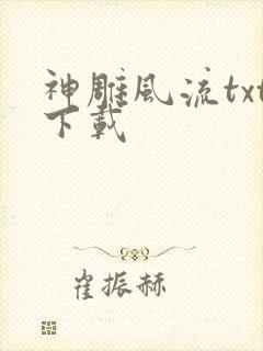神雕风流txt下载