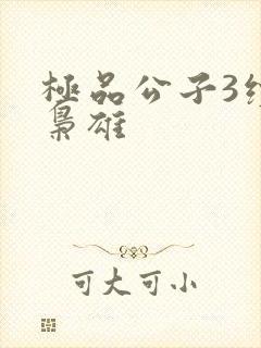 极品公子3续世枭雄