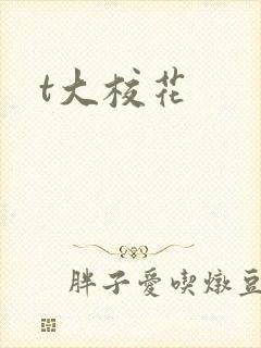 t大校花