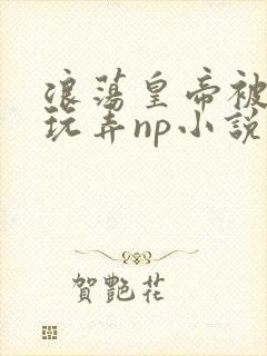 浪荡皇帝被多人玩弄np小说