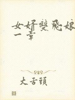 女婿双飞娘俩第一章