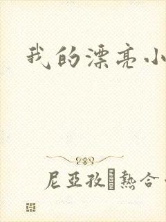 我的漂亮小后妈