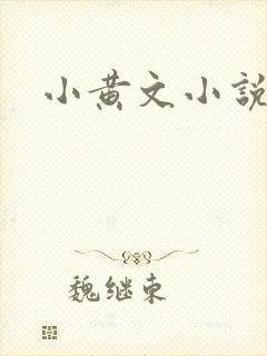 小黄文小说