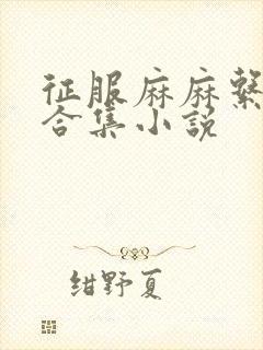 征服麻麻系列大合集小说