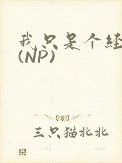 我只是个经纪人(NP)