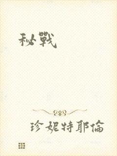 秘战