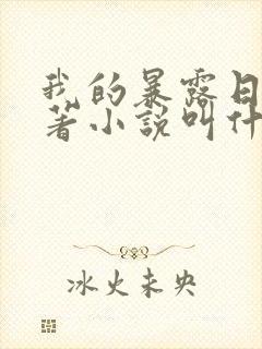 我的暴露日记原著小说叫什么