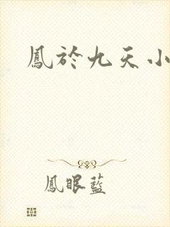 凤于九天小说