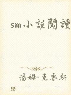 sm小说阅读