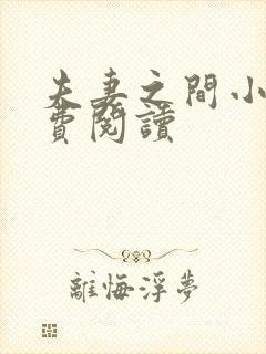 夫妻之间小说免费阅读