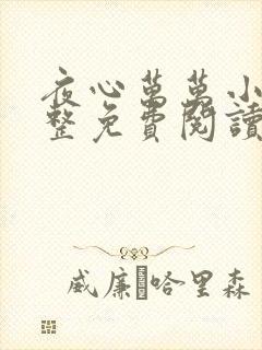 夜心万万小说完整免费阅读全文
