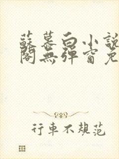 苏慕白小说笔趣阁无弹窗免费阅读