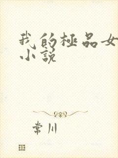 我的极品女老师小说