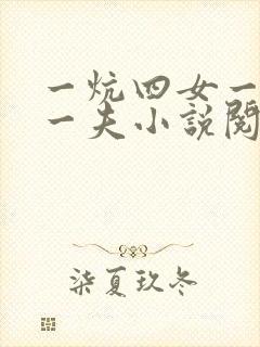 一炕四女一共侍一夫小说阅读