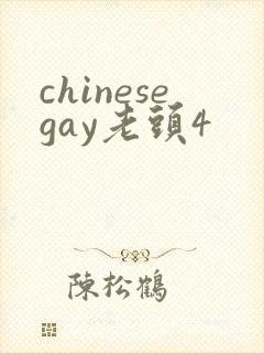 chinesegay老头4