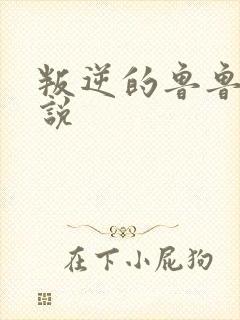 叛逆的鲁鲁修小说