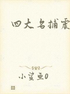 四大名捕震关东