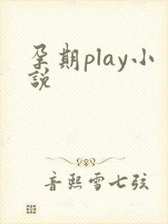 孕期play小说