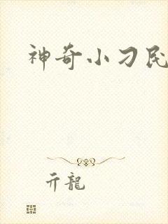 神奇小刁民