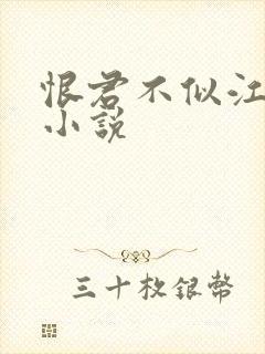 恨君不似江楼月小说